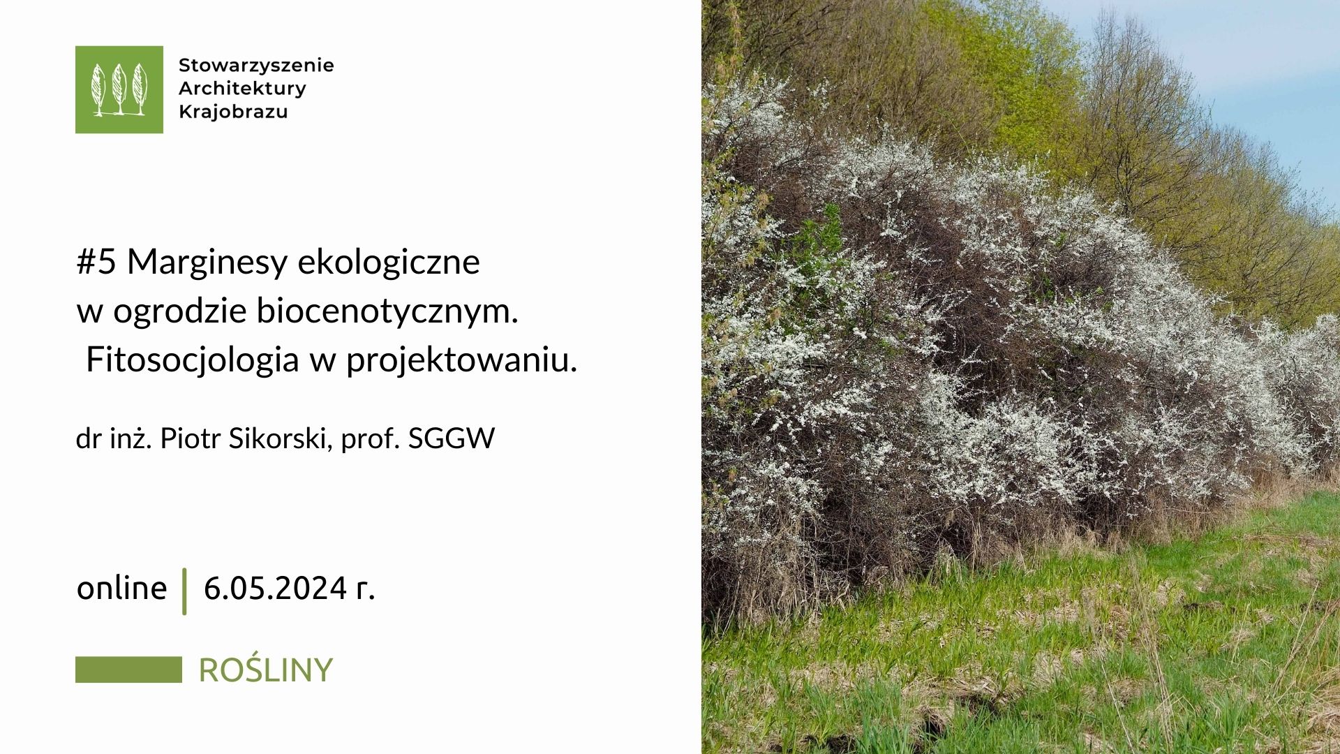 webinar SAK, fitosocjologia, Piotr Sikorski